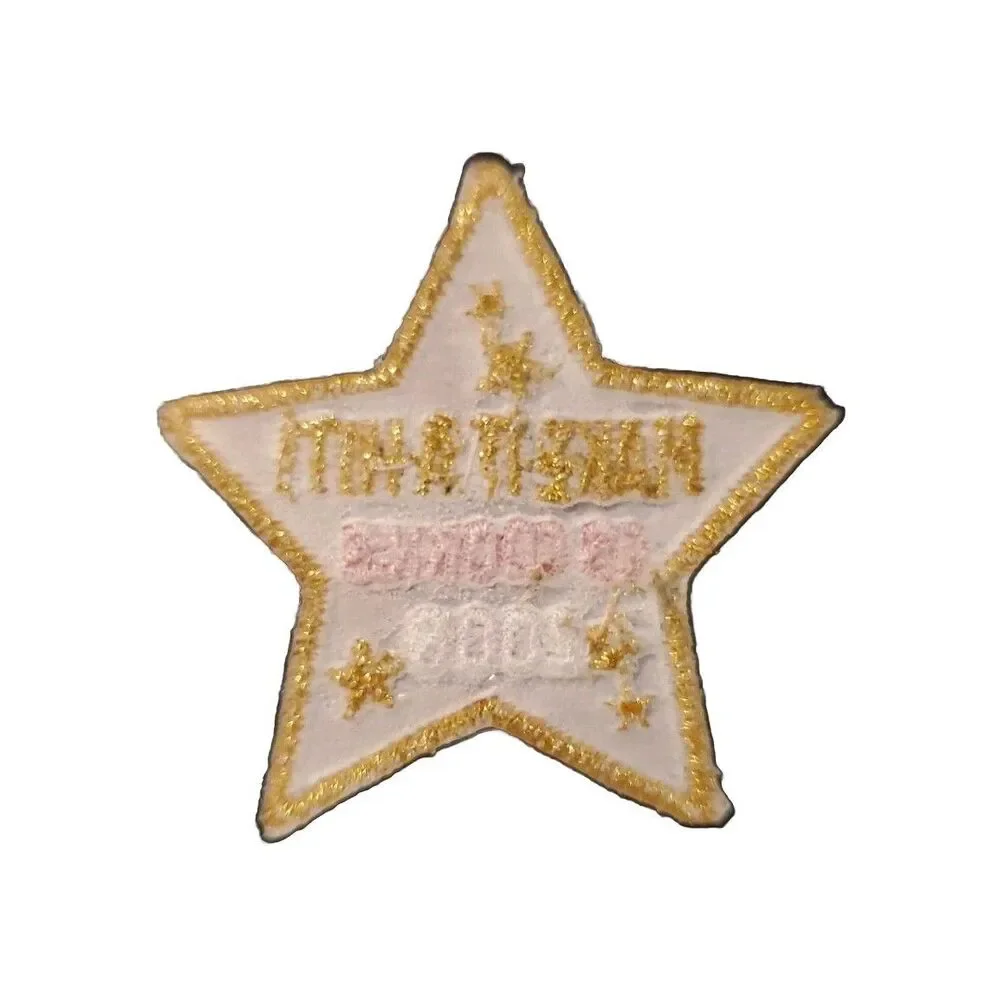 2008 GS Cookies Make It A Hit! Girl Scouts Embroidered Patch